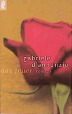 Das Feuer. Roman Roman