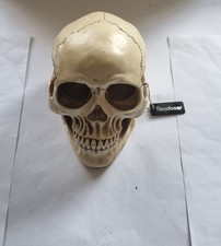 Kurtzy Totenkopf Deko Gothic Deko Menschlicher Schädel Modell L12 x W17 x H14,5#