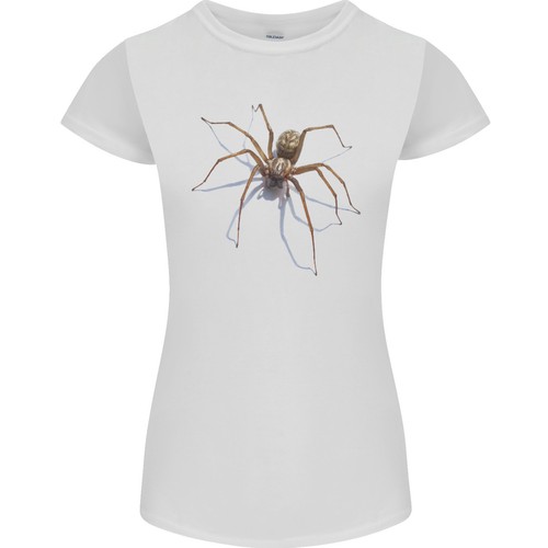 Gruselige spinne halloween - gruselige,