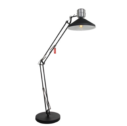 Anne lighting zappa - lighting,