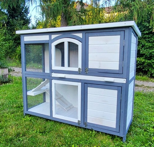 Hasenstall polly - hasenstall,