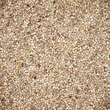 Gladen - Wellensittichfutter - 5kg