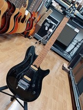 PEAVEY E-Gitarre Modell PEV-WG/T gebraucht JP