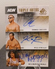 2025 UD AEW SP GAME USED