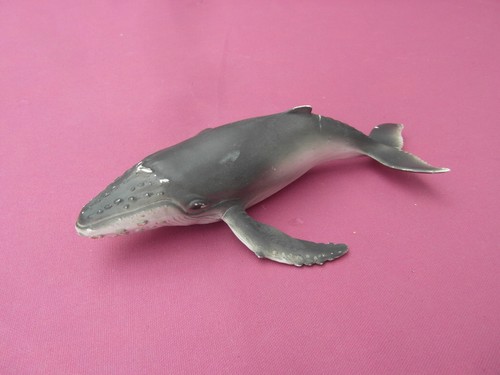 Schleich 16093 buckelwalkalb - schleich,