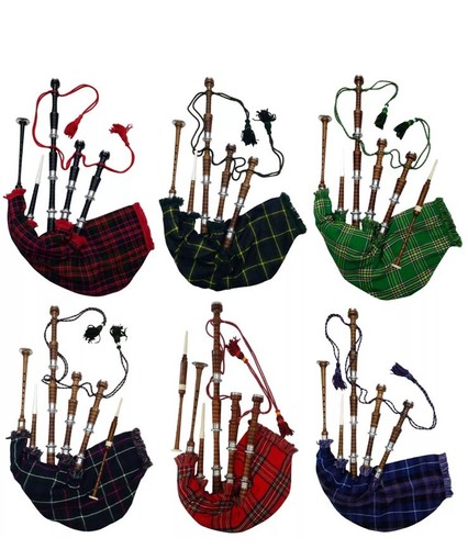 Scottish great highland - great,