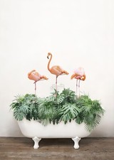 Poster Flamingos in der