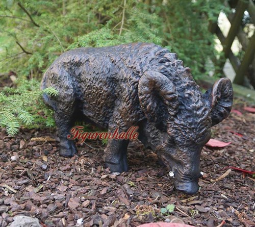 Wildschwein frischling - wildschwein,