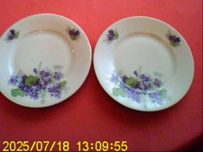 2 Ess-Teller VEILCHEN Du 16,5 cm Victoria China, Czechoslowakei