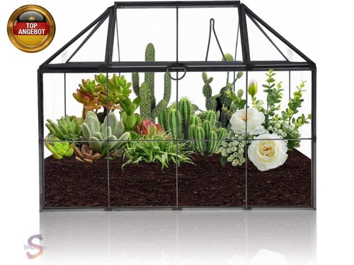 Terrarium pflanzgefäß - terrarium,