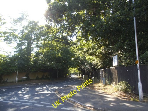 Photo 12x8 mill - 12x8,