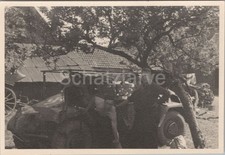 Foto 7. Panzer Div., Sd.Kfz
