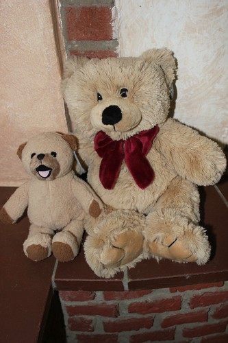 Süße plüsch teddy - süße, plüsch-teddy-bärchen