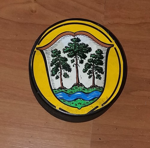 Official eishockey puck - official, tsv