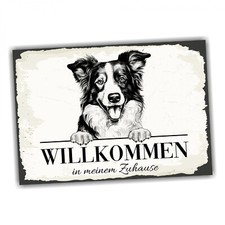 Hundeschild Willkommen Zuhause