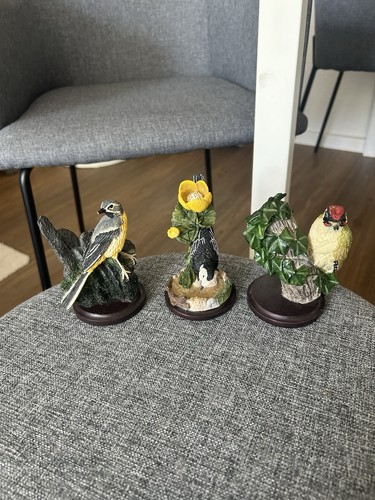 Gebirgsstelze bachstelze - gebirgsstelze,,