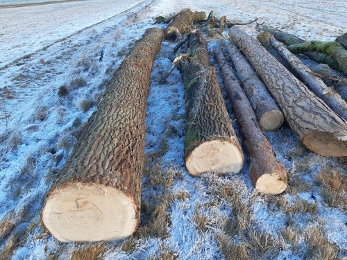 Holz für möbel - holz, boden