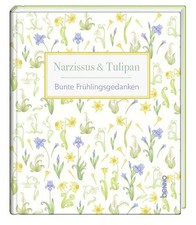 Narzissus & Tulipan Bunte