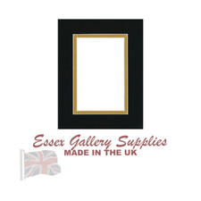 Doppelhalterung Bild- und