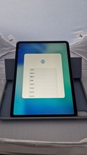 Apple iPad Pro 1. Gen 256GB