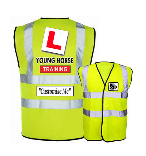 Young horse training - young, hi