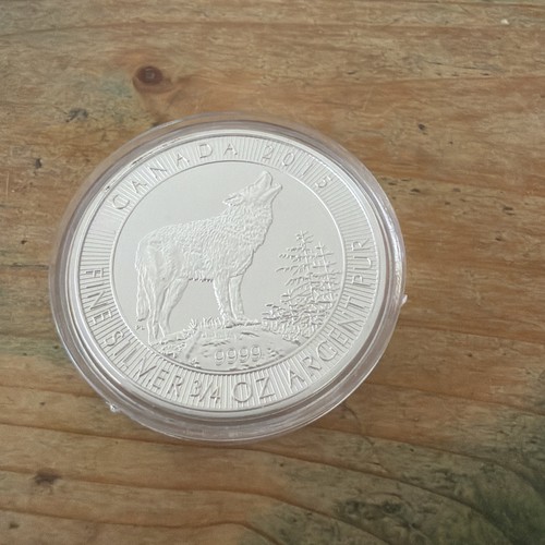 Canadian silver grey - 3/4,