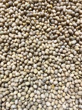 5 kg Sojabohnen Sojamilch Tofu