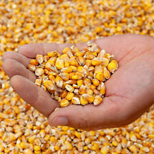 25 kg Futtermais Mais gelb Tauben, Huhnerfutter, Karpfen, Geflugel Wild Futter