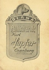 Kurt Hupfer: Diana Rassehunde
