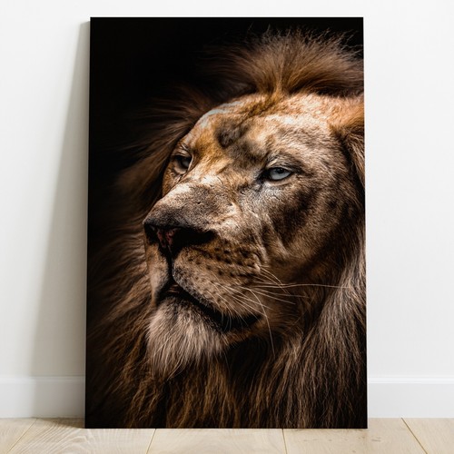 Leinwand bild wandbild xxl - leinwand,