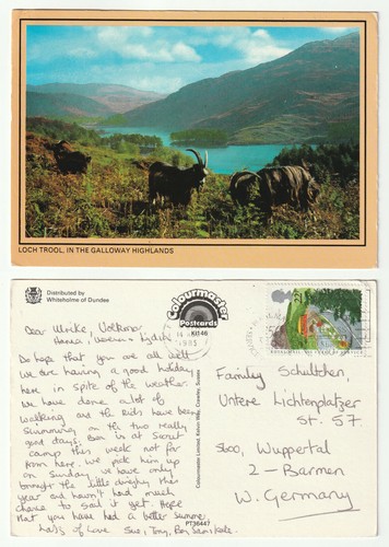 81599 loch trool galloway - loch, trool,