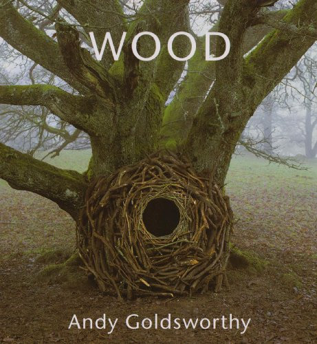 Wood andy goldsworthy - andy,