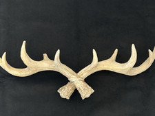 Vintage-Wandhaken mit Hirschgeweih - Wandmontage