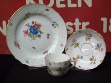 MEISSEN NEUBRANDENSTEIN INSEKTEN BLUMEN 3TL. MOKKA GEDECK 1.WAHL