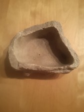 Kleine Wasserschale Terrarium