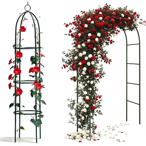 Rosenbogen rosensäule - rosenbogen,