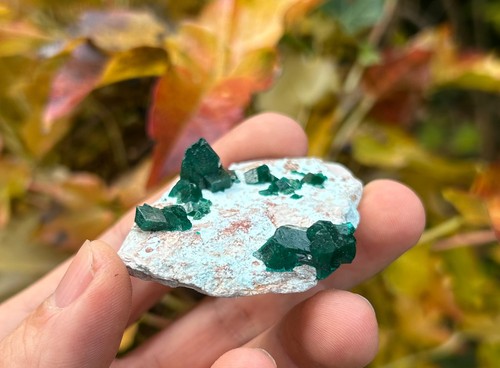 Dioptase emerald green - /,