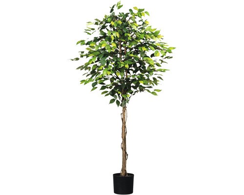 Kunstpflanze ficus benjamin - ficus,