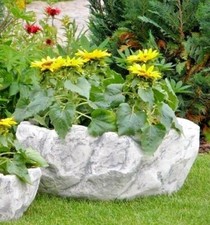 🔶 Pflanzschale Stein Optik