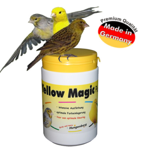 Birdsandmore yellow magic - birdsandmore,