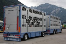 LKW Foto Scania Viehtransporter Schweiz blau Brühlmann Tiertransport #j9hl