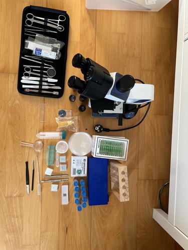 Swift 350 biologisches - swift,