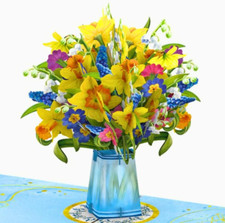 Drei Dee Karten - Exquisite