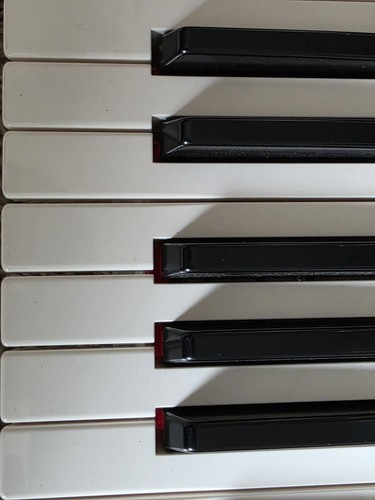 Yamaha motiv es7 satz - 6,