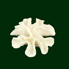 Rosenkoralle,13 x 13 x 5