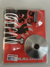 VARIOMATIK MALOSSI MULTIVAR