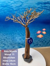 ⛩️ "ASIA MYSTIC WOOD" Aquarium Wurzel Bäumchen auf Schieferplatte