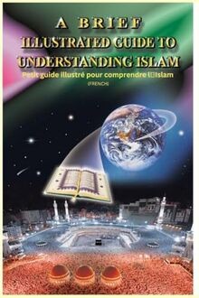 Brief illustrated guide - illustrated, to