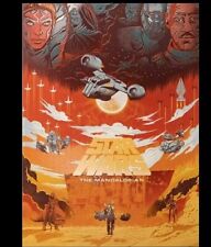 Displate LIMITED EDITION -  The Mandalorian Saga | STAR WARS | Sammler