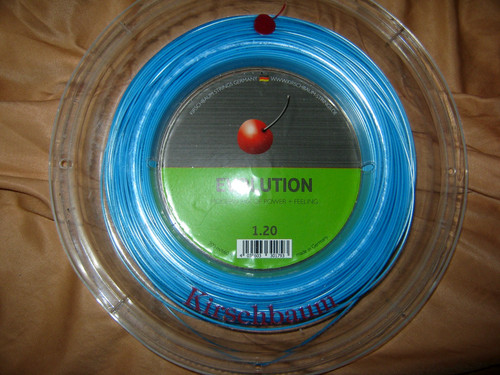 Kirschbaum evolution blau - kirschbaum,